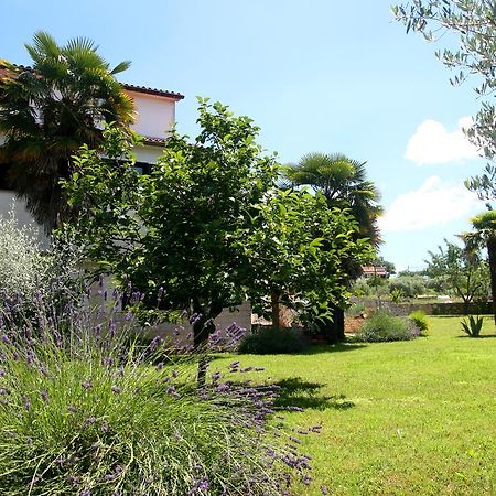 Korsa Apartment Sveti Lovreč Pazenatički Buitenkant foto